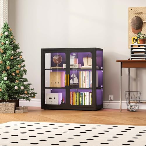 Glass Cabinet Display - Witryna z szklanymi drzwiami i oświetleniem